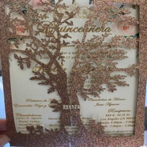 Card Stock - All Occassion Invitation 12